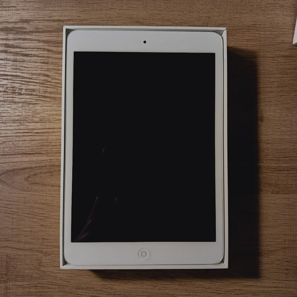 Apple iPad with White Bezel